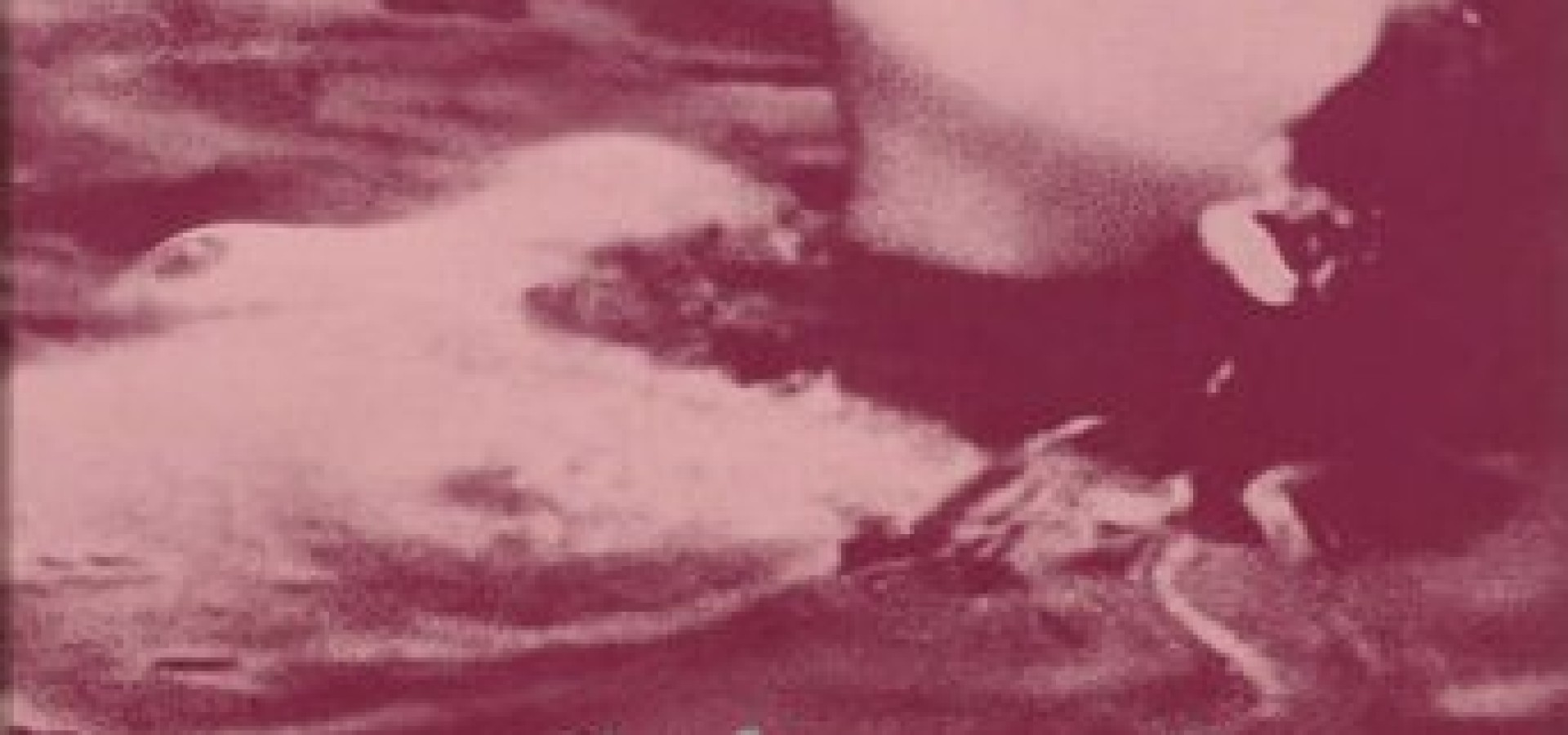 Solitary Sex