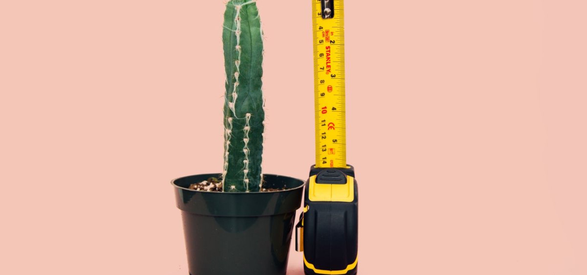 To μήκος του πέους αυξήθηκε κατά 24% από το 1992 έως το 2021. Και αυτό είναι πρόβλημα