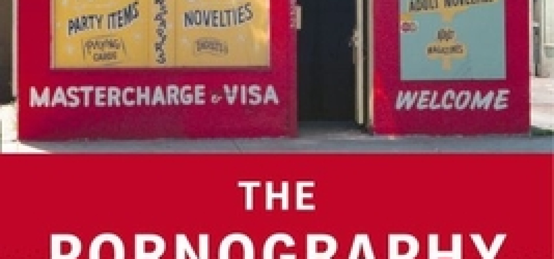 The Pornography Industry: What Everyone Needs to Know (2016)