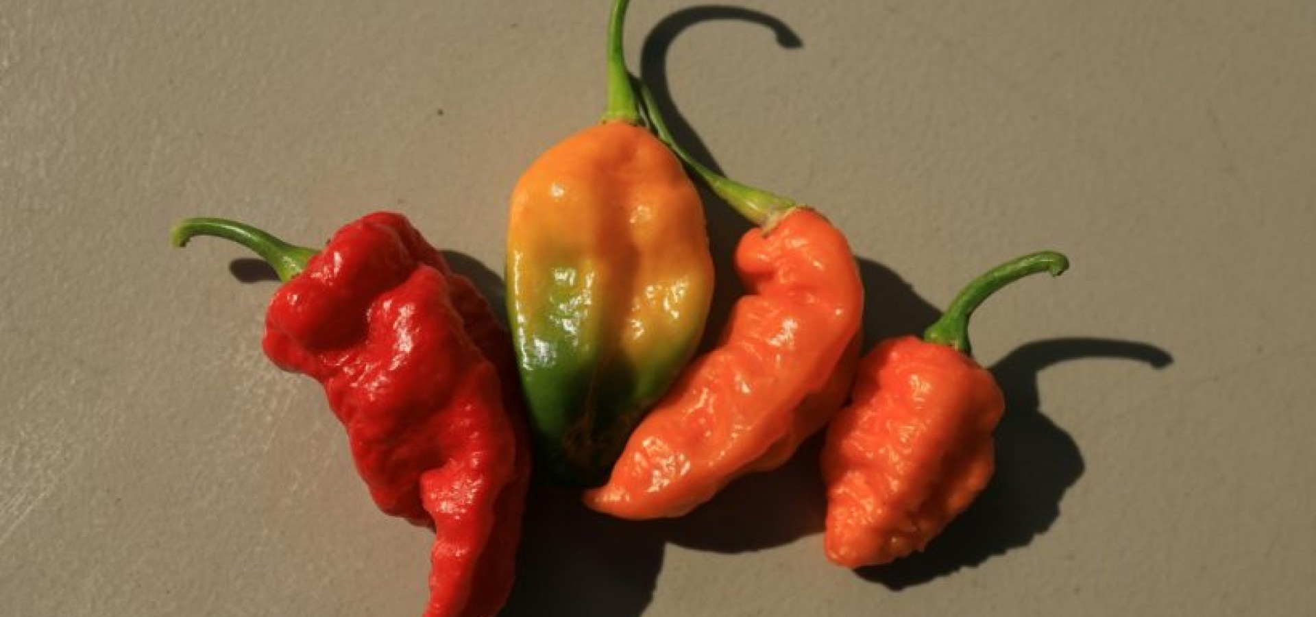 6 τροφές που σε αδυνατίζουν και σε καuλώνουν ταυτόχρονα!