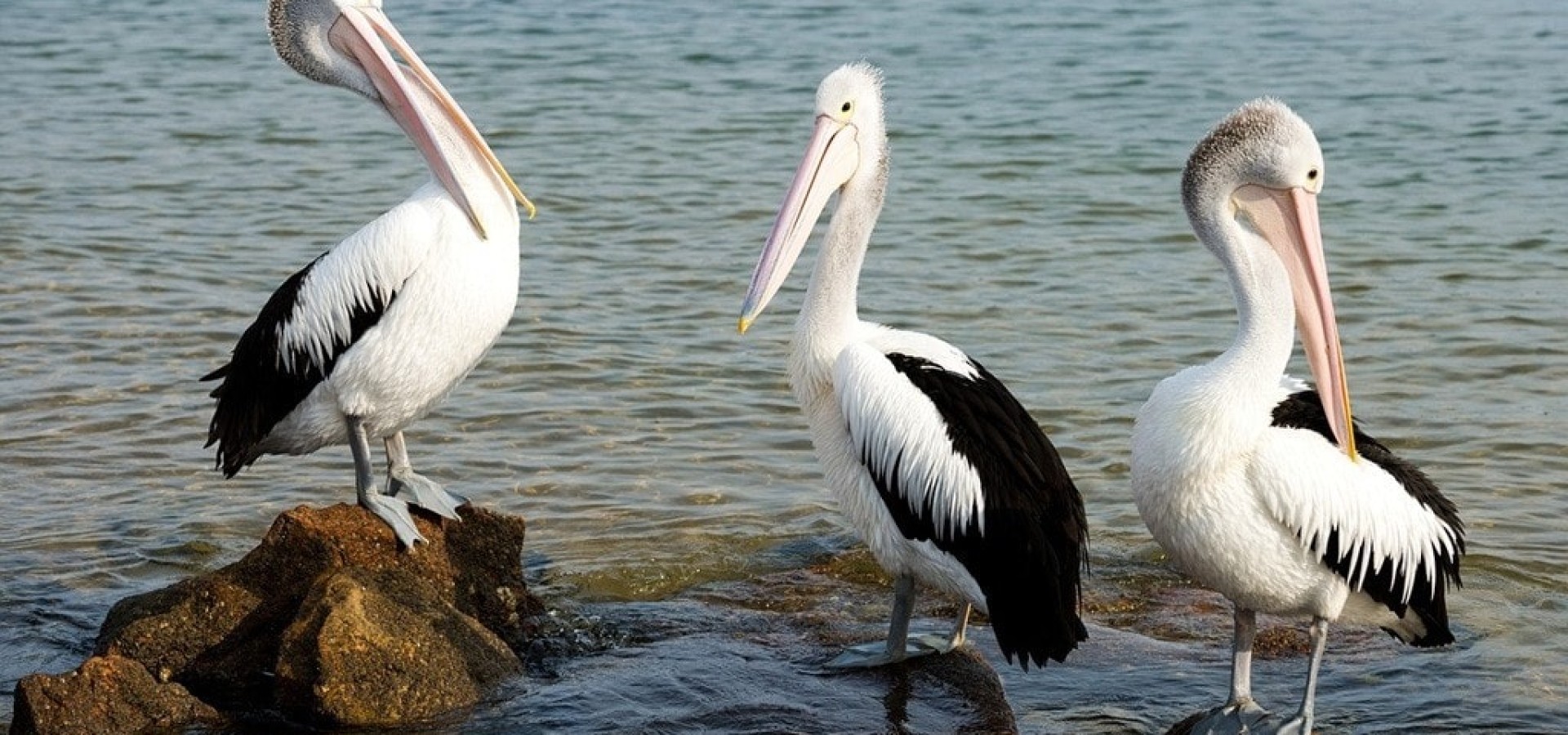 Swinging: Η Νέα Τάση των Ζευγαριών