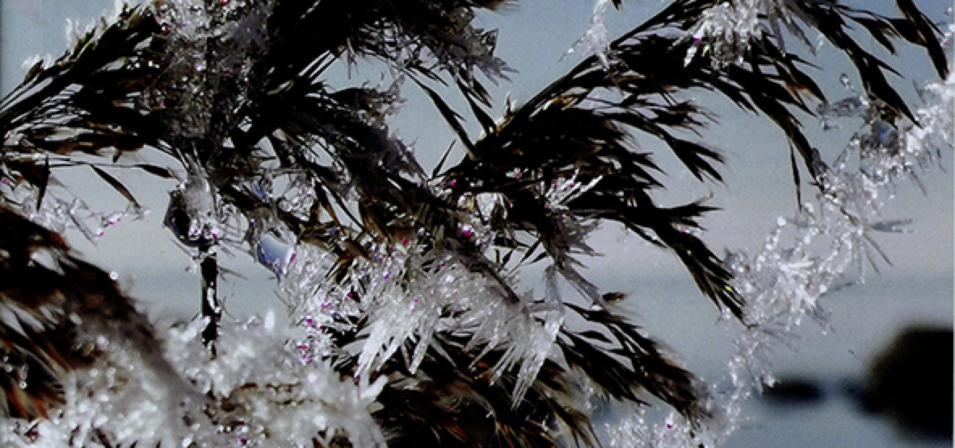 Tillsammans Nr. 4 • Vintern 2025 • Årgang 52