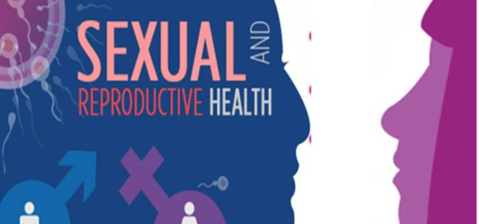 Πώς καταλαβαίνεις ότι έχεις υγιή σεξουαλική σχέση