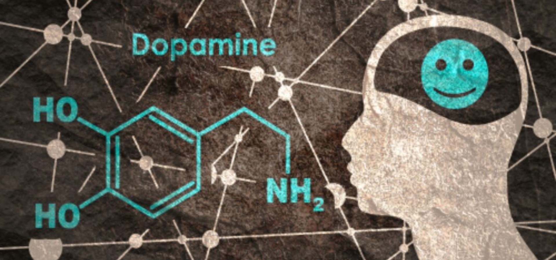 Ντοπαμίνη: Τι κάνει στον οργανισμό κατά τη διάρκεια του σεξ;
