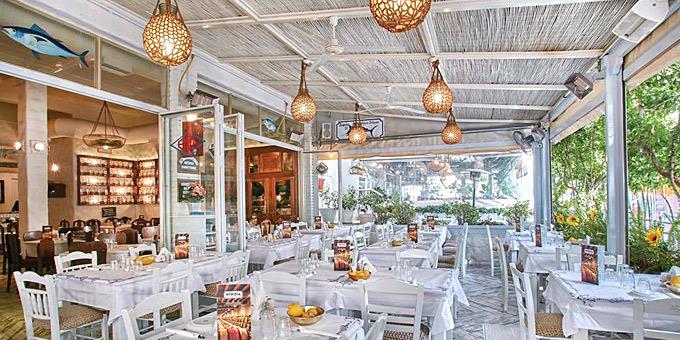 Τέλειες σκεπαστές αυλίτσες για φαγητό