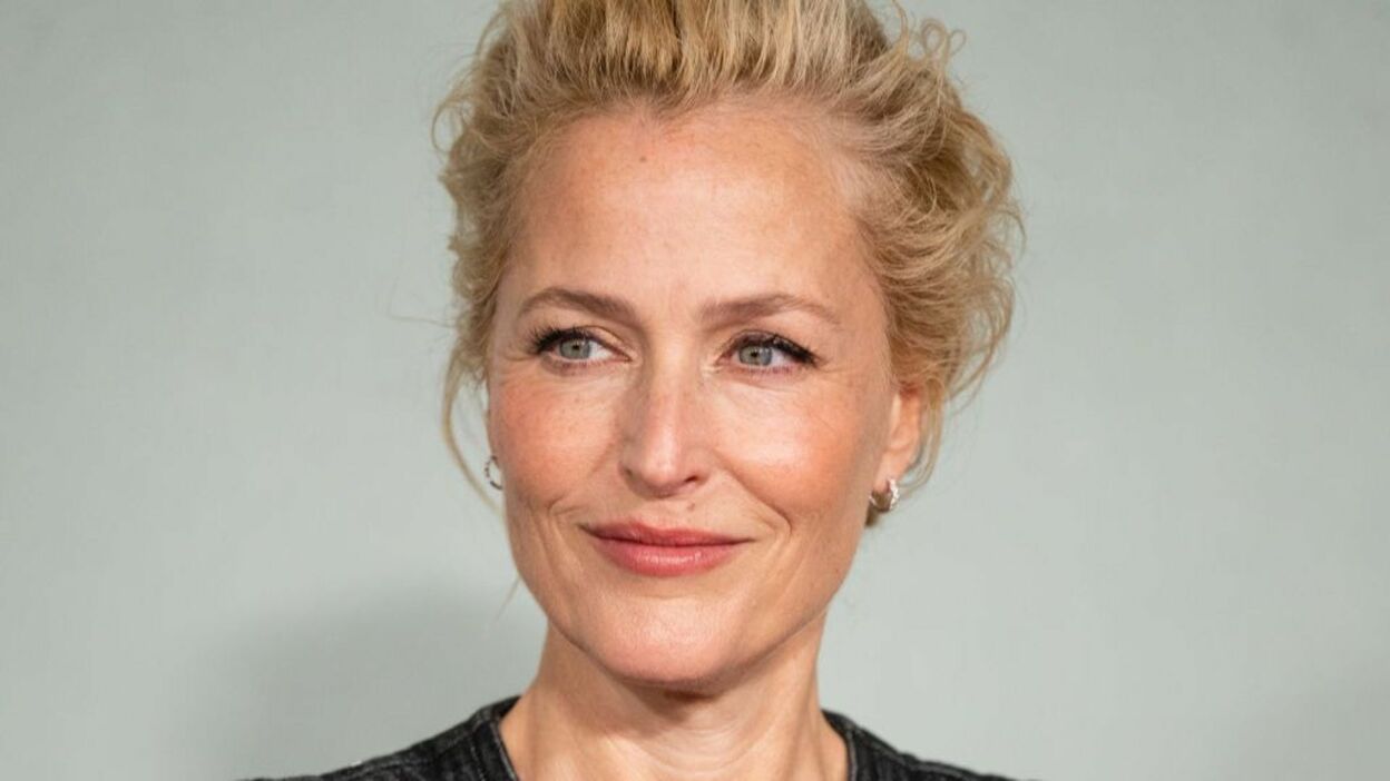 Gillian Anderson wants your anonymous sex stories