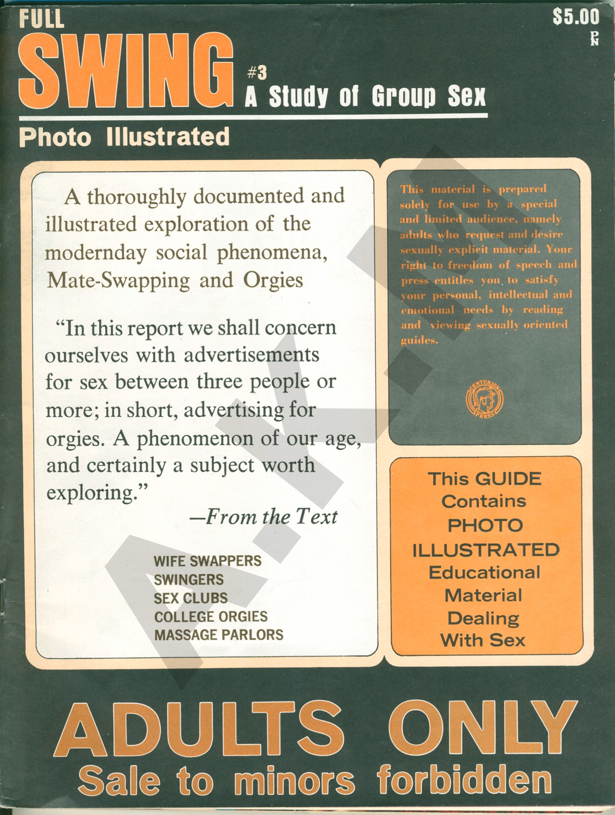 Full Swing: A Study of Group Sex #3 (1971)