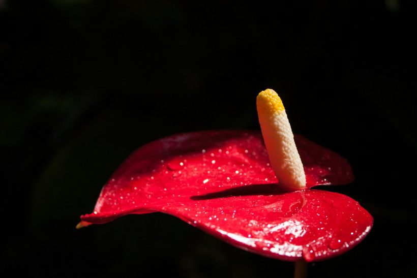 8 tips για να μην κάνεις βαρετό και βασικό σ#ξ